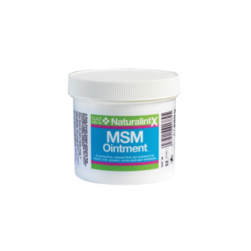MSM Ointment NAF 250 g