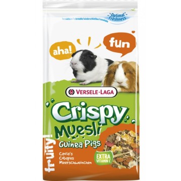 CRISPY MUESLI GUINEA PIGS...
